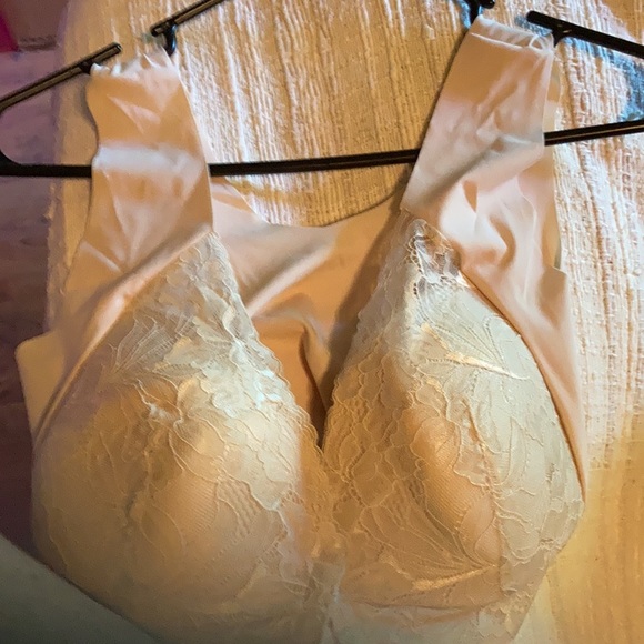 BRA - Picture 7 of 9